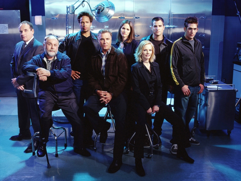 the cast of CSI LV